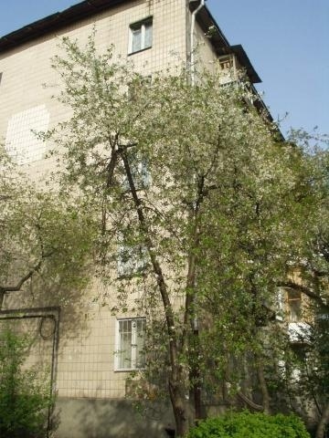 Киев, Мартиросяна ул., 26