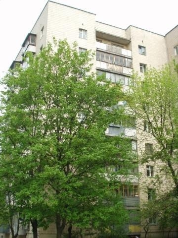 Киев, Мартиросяна ул., 8