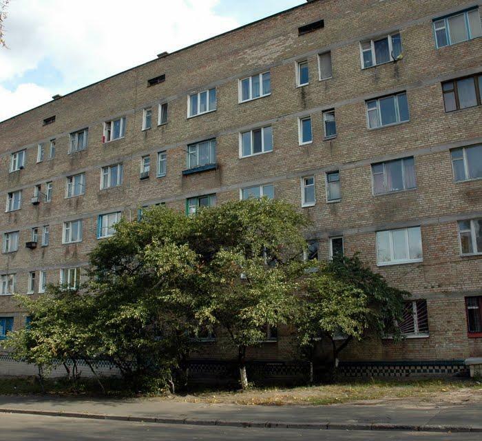 Київ, Максима Берлінського вул., 20