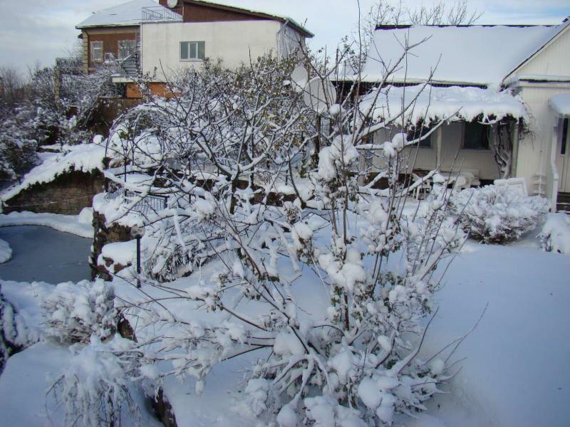 Киев, Ольшанская ул., 14