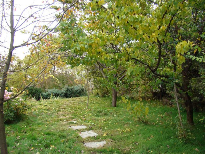 Киев, Ольшанская ул., 14