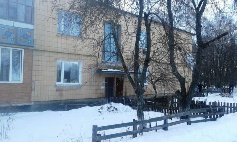 Полтавська обл., Пирятинський район, с. Вікторія, Жовтнева вул., 25
