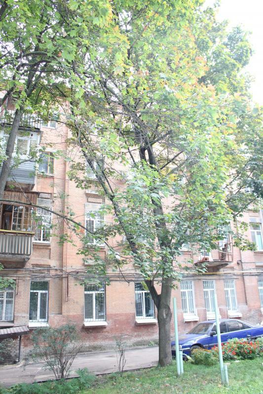 Оренда офісу 34 м², Старокозацька вул., 74