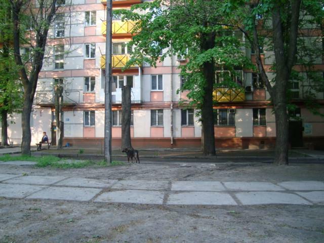 Днепр, Гагарина просп., 86