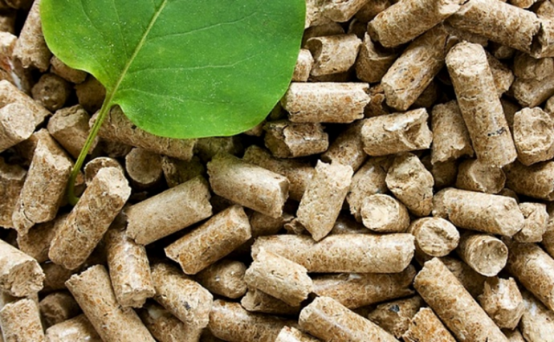 Самі собі монополія. Як кооператив на Тернопільщині опалює домівки "малиною"