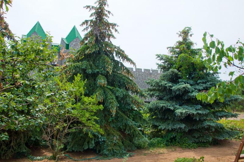 Севастополь, Военных Строителей ул., 100