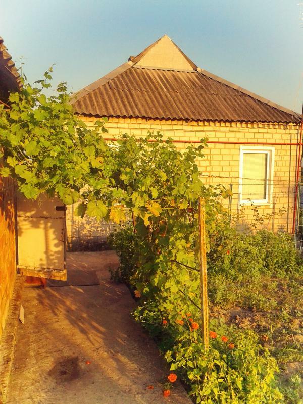 Днепропетровская обл., Петриковский район, пгт Петриковка, Кутузова ул., 56А