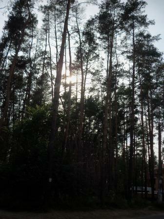 Київська обл., Бучанський район, м. Ірпінь, Полтавська вул., 63