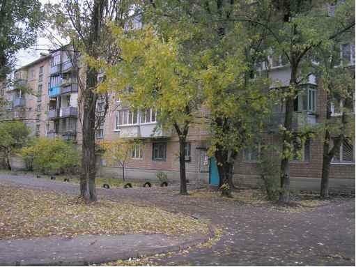 Продаж 1-кімнатної квартири 30 м², Мілютенка вул., 22