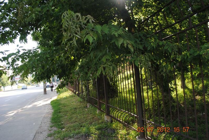 Киев, Голосеевская ул., 59