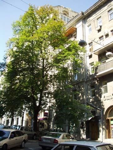 Киев, Заньковецкой ул., 4