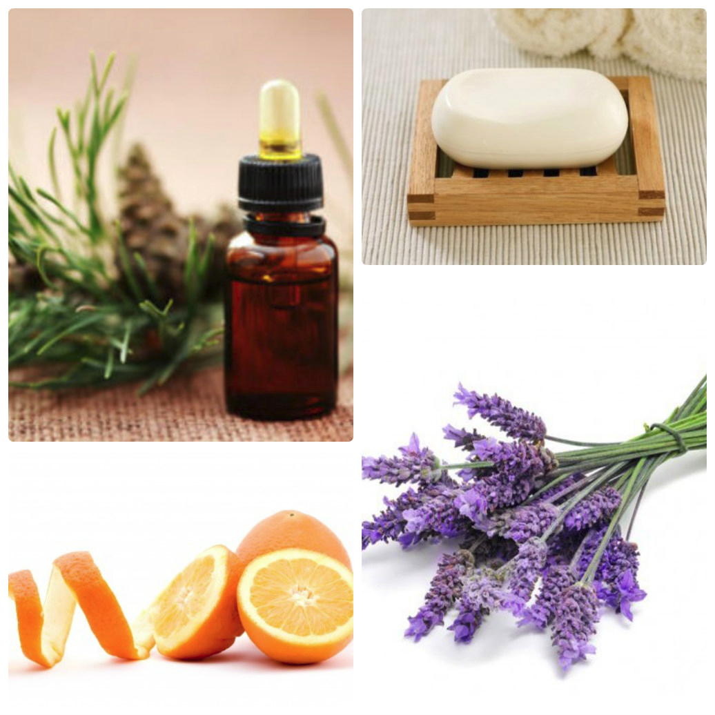 ловушка антимоль. избавиться от моли. средства от пищевой моли на кухне. средство от моли. антимоль лаванда.