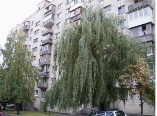 Киев, Стратегическое шоссе, 11