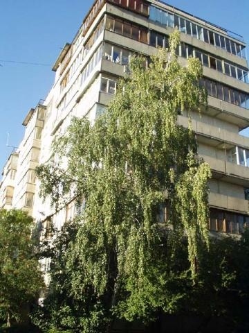 Киев, Тешебаева ул., 1