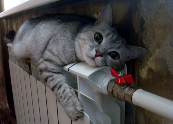 Скільки багатоквартирних будинків вже підключили до тепла в Києві 15 жовтня