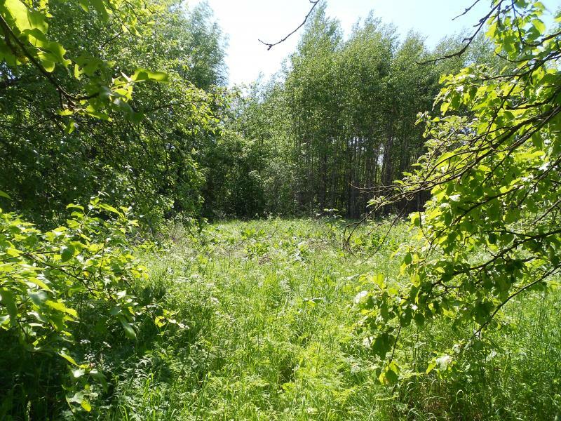 Черниговская обл., Нежинский район, г. Нежин, Дзержинского ул., 30