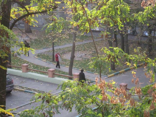 Харків, Данилевского вул., 8
