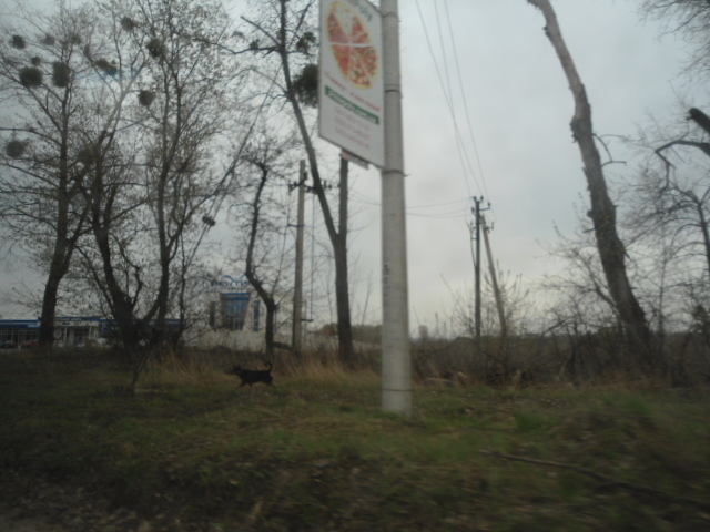 Продаж ділянки під індивідуальне житлове будівництво 150 соток