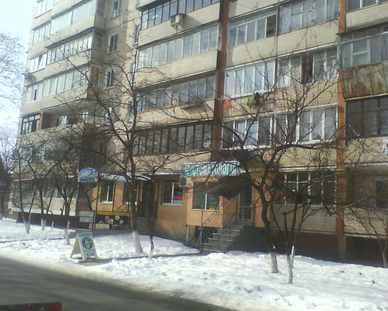 Київська обл., Бучанський район, м. Ірпінь, Академіка Заріфи Алієвої вул., 61