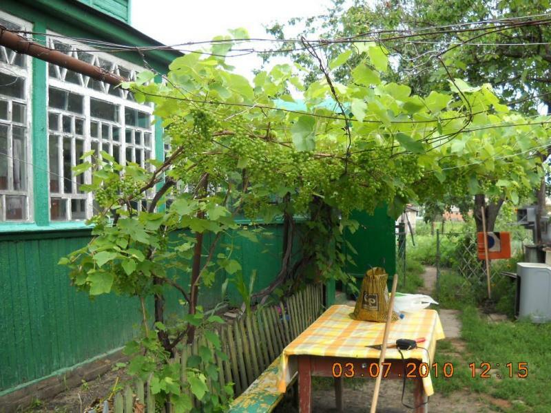 Полтава, Геодезическая вул., 65