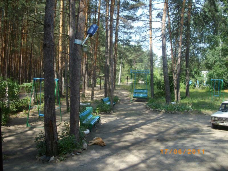 Донецкая обл., Славянский район, г. Святогорск, Ивана Мазепы ул., 49