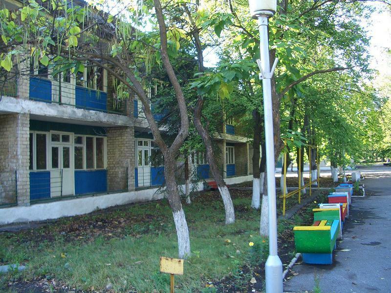 Донецька обл., Слов`янський район, смт Донецьке, Комсомольская вул., 1