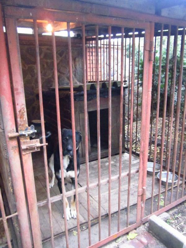 Донецька обл., м. Маріуполь, Прожекторна вул., 53