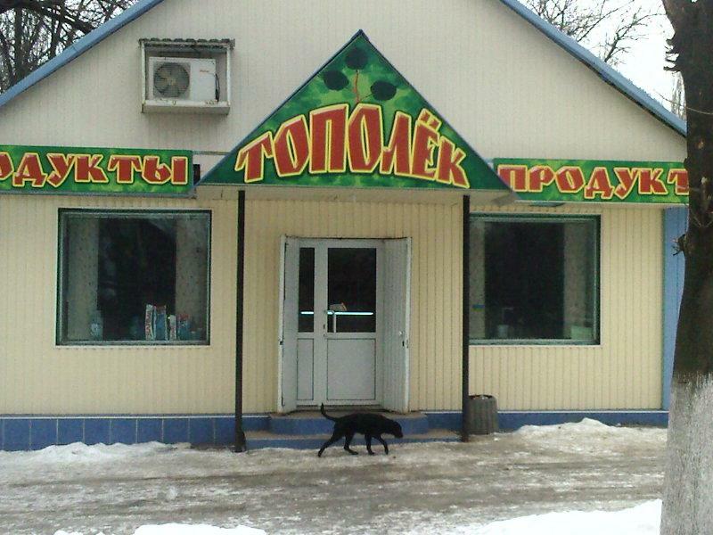 Донецька обл., м. Костянтинівка, Калініна вул., 7