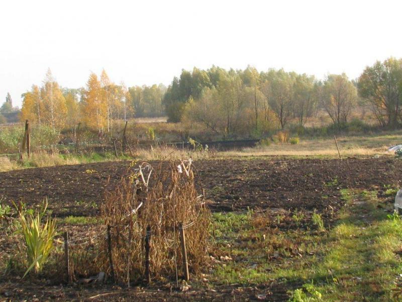 Киевская обл., Бориспольский район, г. Борисполь, Крашенивка ул., 31