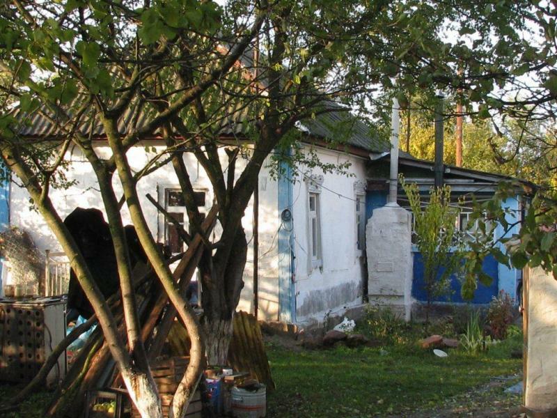 Киевская обл., Бориспольский район, г. Борисполь, Крашенивка ул., 31