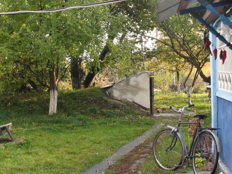 Киевская обл., Бориспольский район, г. Борисполь, Крашенивка ул., 31