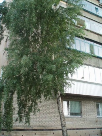 Киевская обл., Броварской район, г. Бровары, Гагарина ул., 23