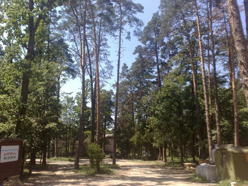 Киевская обл., Бучанский район, г. Ирпень, Высокая ул., 9
