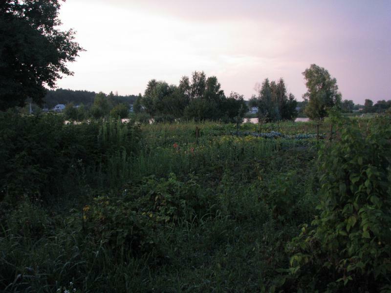 Київська обл., Вишгородський район, с. Глібовка, Леніна вул., 35