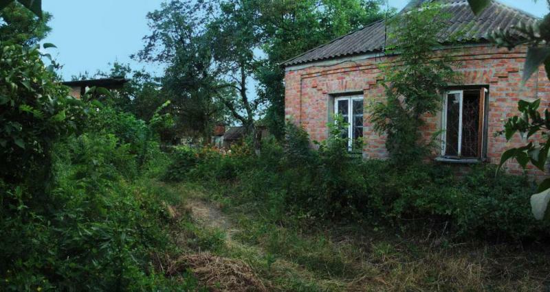 Киевская обл., Згуровский район, с. Жуковка, Чекистов ул., 74