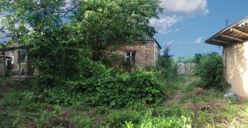 Киевская обл., Згуровский район, с. Жуковка, Чекистов ул., 74