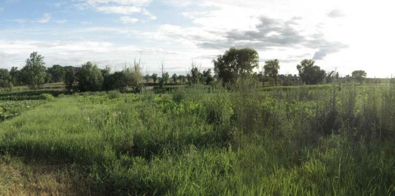 Киевская обл., Згуровский район, с. Жуковка, Чекистов ул., 74