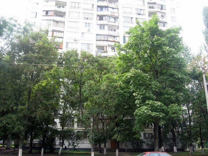 Киев, Петра Калнышевского ул., 5