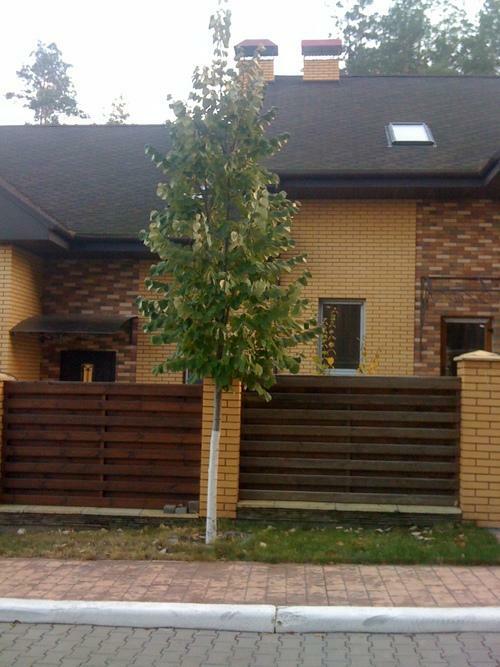 Киевская обл., Киево-Святошинский район, с. Стоянка, Осеняя ул., 5