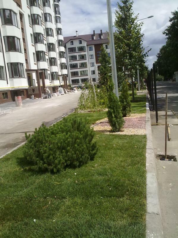 Киевская обл., Киево-Святошинский район, с. Софиевская Борщаговка, Софиевская ул., 17/68