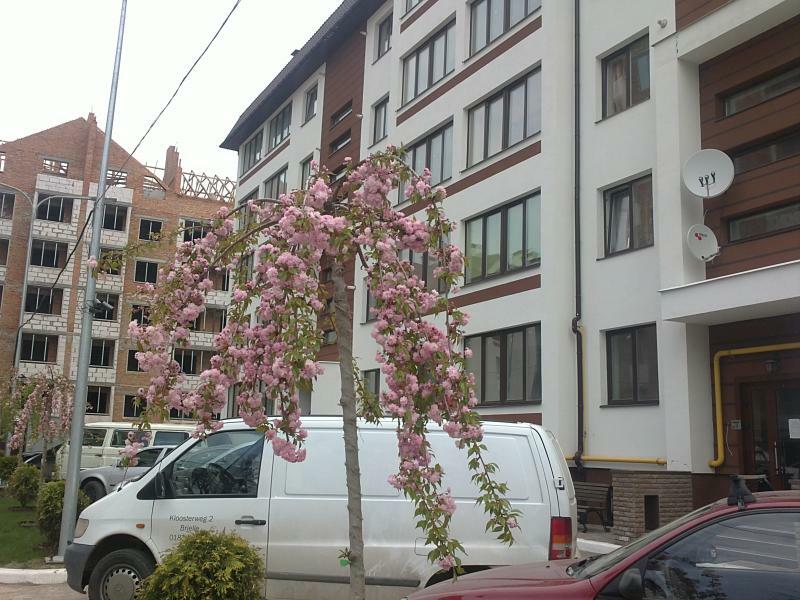 Киевская обл., Киево-Святошинский район, с. Софиевская Борщаговка, Софиевская ул., 17/68