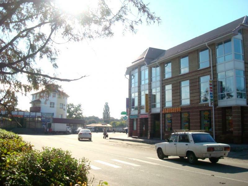 Київська обл., Бородянський район, смт Немешаєве, Залізнична вул., 11