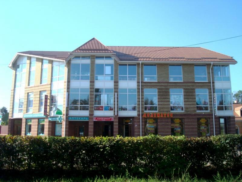 Київська обл., Бородянський район, смт Немешаєве, Залізнична вул., 11