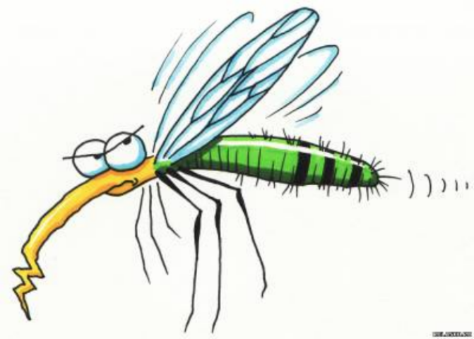 Топ-7 самых странных советов по защите от комаров