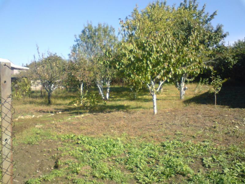 Одеська обл., Одеський район, смт Овідіополь, Комсомольская вул., 8