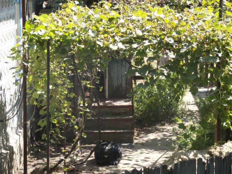 Полтавська обл., Кременчуцький район, м. Кременчук, Крупской вул., 49