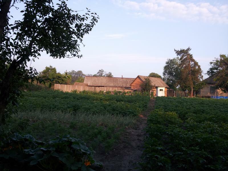 Полтавская обл., Лубенский район, г. Лубны, Солнечная ул., 13