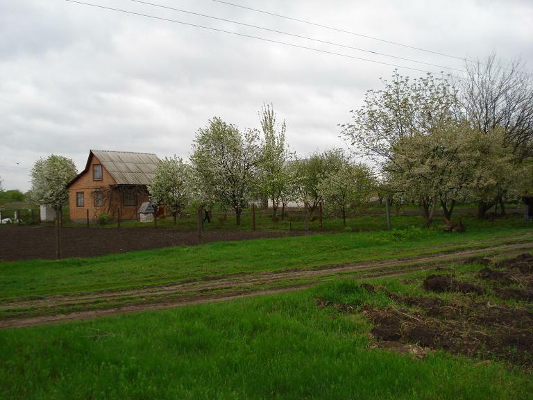 Полтавская обл., Гребенковский район, г. Гребенка, Молодежная ул., 3