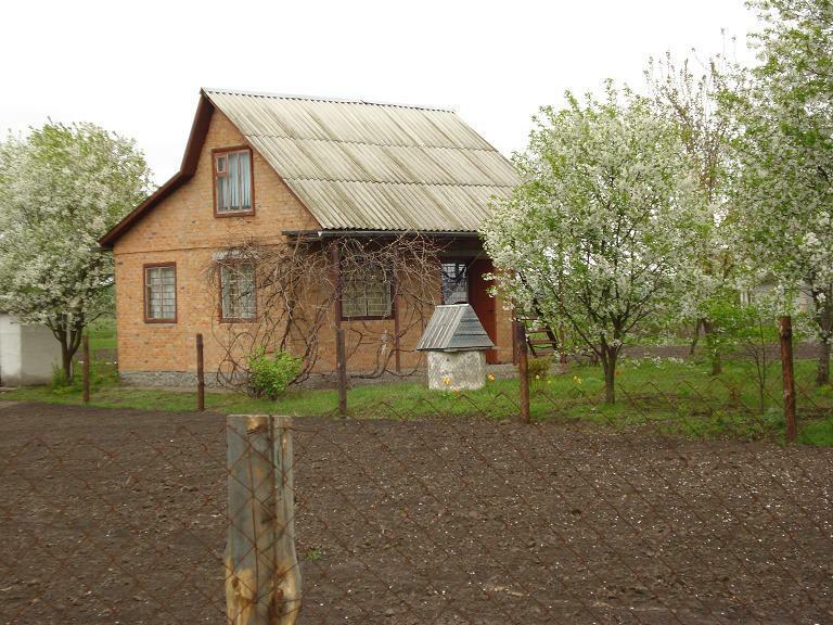 Полтавская обл., Гребенковский район, г. Гребенка, Молодежная ул., 3