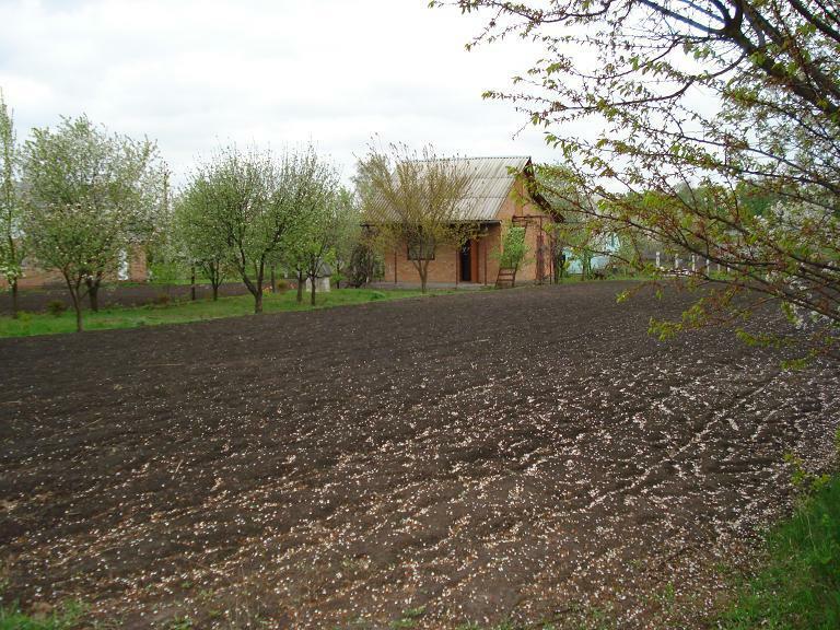 Полтавская обл., Гребенковский район, г. Гребенка, Молодежная ул., 3